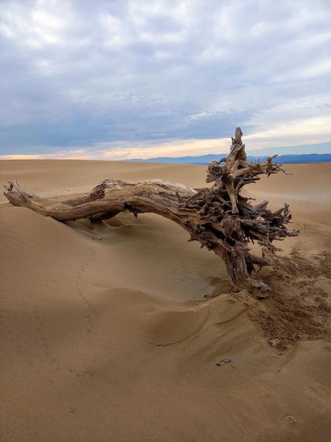 L'hotelet Del Delta